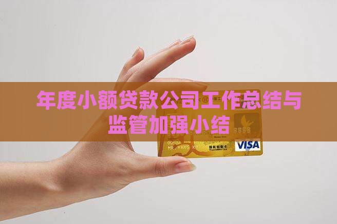 年度小额贷款公司工作总结与监管加强小结