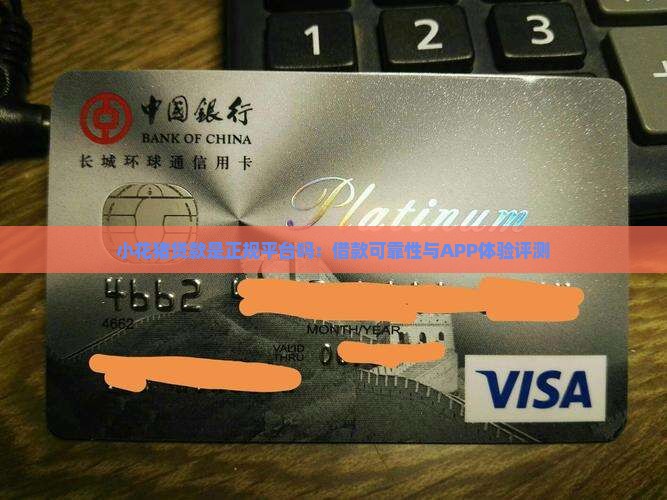 小花猪贷款是正规平台吗：借款可靠性与APP体验评测