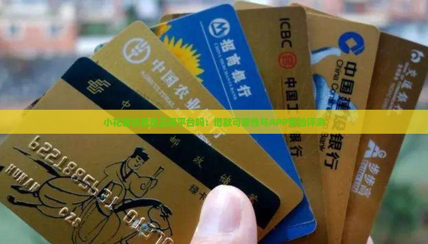 小花猪贷款是正规平台吗：借款可靠性与APP体验评测