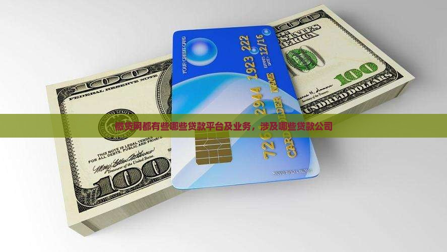 微贷网都有些哪些贷款平台及业务，涉及哪些贷款公司