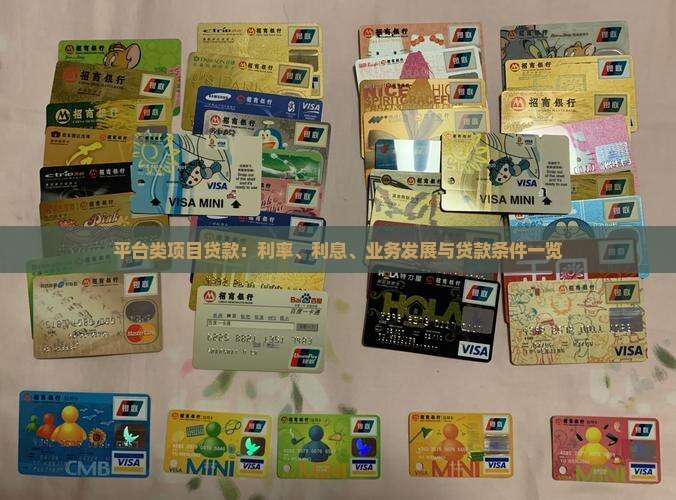 平台类项目贷款：利率、利息、业务发展与贷款条件一览