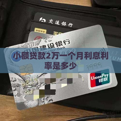 小额贷款2万一个月利息利率是多少