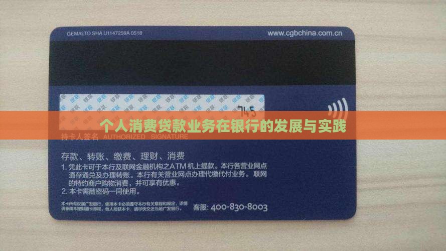 个人消费贷款业务在银行的发展与实践