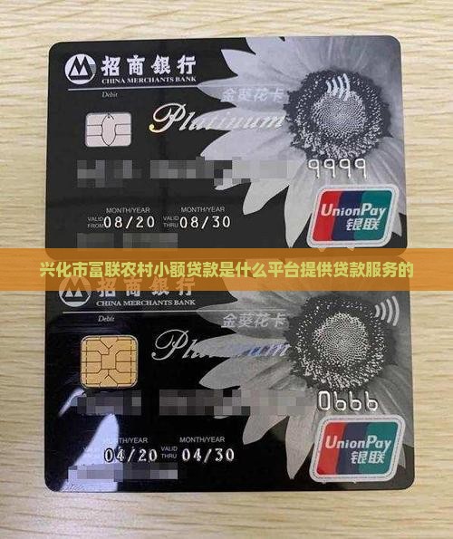 兴化市富联农村小额贷款是什么平台提供贷款服务的