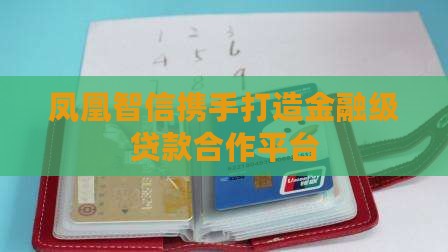 凤凰智信携手打造金融级贷款合作平台