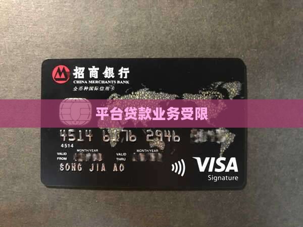 平台贷款业务受限