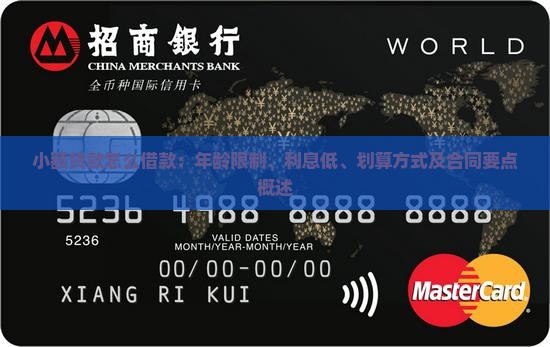 小额贷款怎么借款：年龄限制、利息低、划算方式及合同要点概述