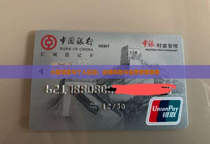 小额贷款与个人征信：逾期风险与信用管理策略
