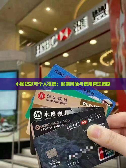小额贷款与个人征信：逾期风险与信用管理策略