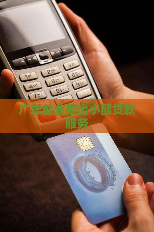 广东盐业推出小额贷款服务