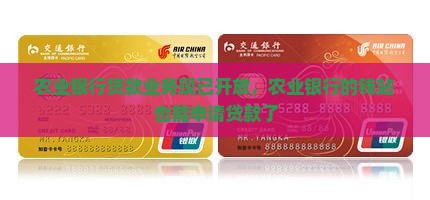 农业银行贷款业务现已开放，农业银行的钱站也能申请贷款了