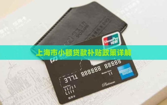 上海市小额贷款补贴政策详解