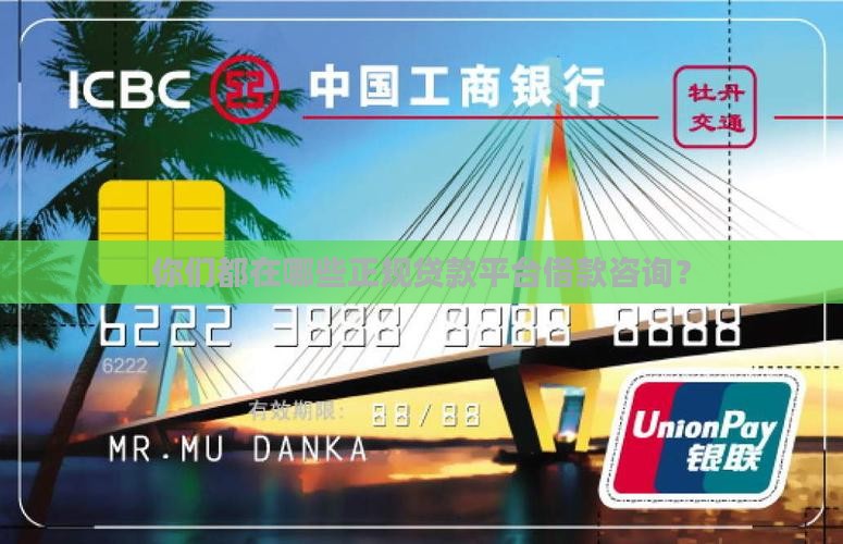 你们都在哪些正规贷款平台借款咨询？