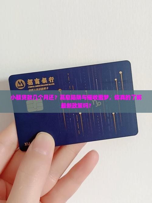 小额贷款几个月还