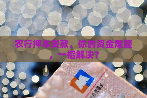 农业银行押本贷款