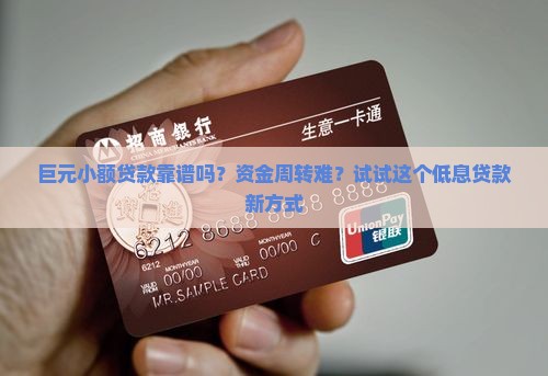 巨元小额贷款