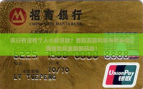 农行有没有个人小额贷款