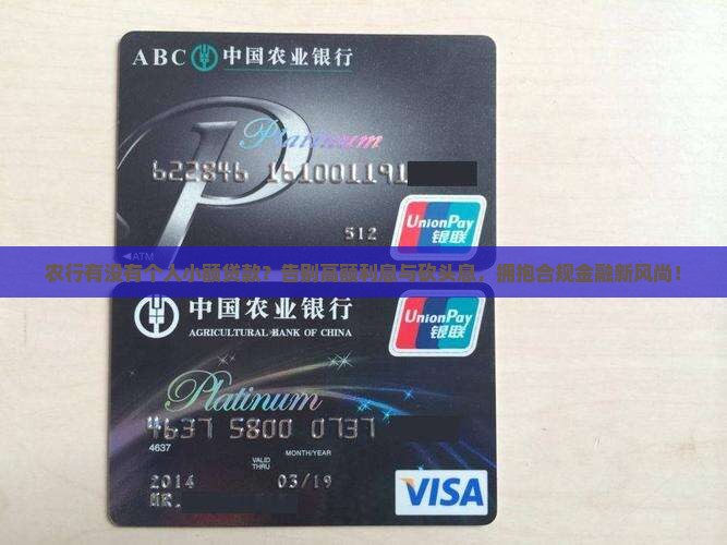 农行有没有个人小额贷款