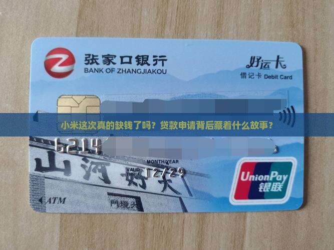 小米公司申请贷款