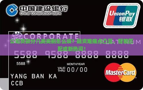 公司贷款分几类类别怎么填