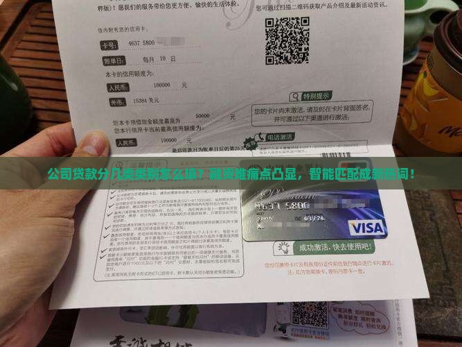 公司贷款分几类类别怎么填
