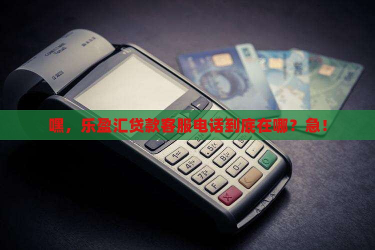乐盈汇贷款平台客服电话