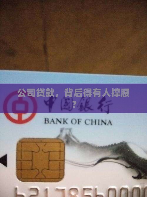 公司贷款要出资人