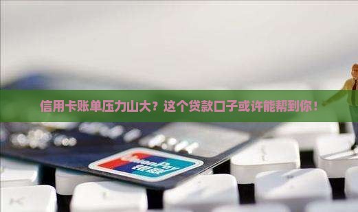 信用卡帐单的贷款口子