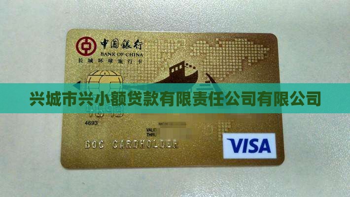 兴城金融小额贷款在哪