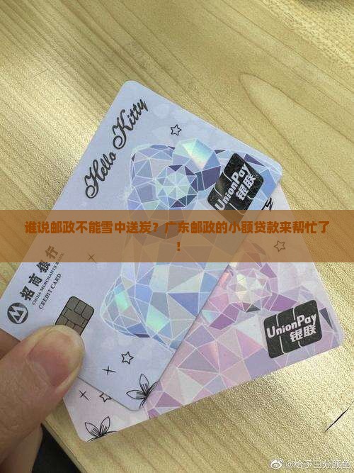 广东邮政小额贷款