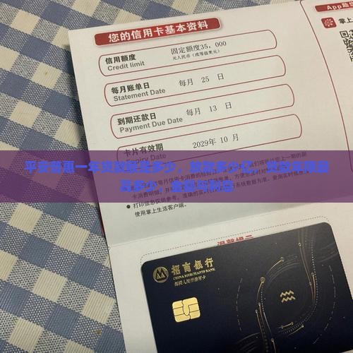 平安普惠一年贷款额