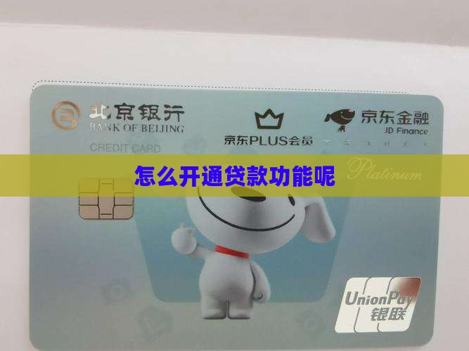 怎么开通网络贷款功能呢