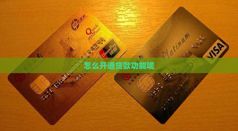 怎么开通网络贷款功能呢