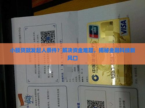 小额贷款发起人条件