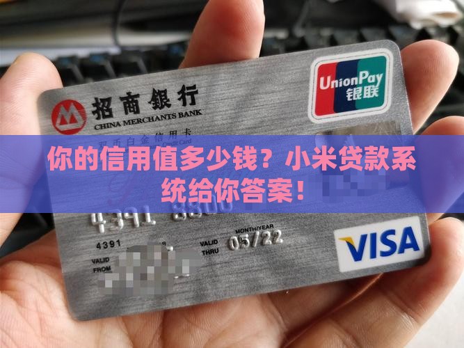 小米贷款系统评定