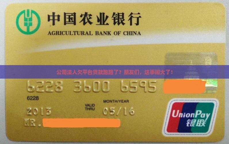 公司法人欠平台贷款