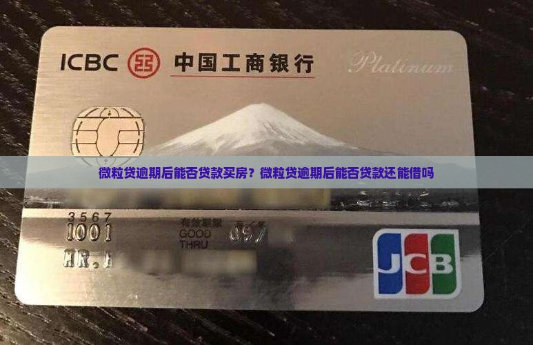 微粒贷逾期后能否贷款