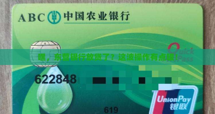 东营银行发放贷款