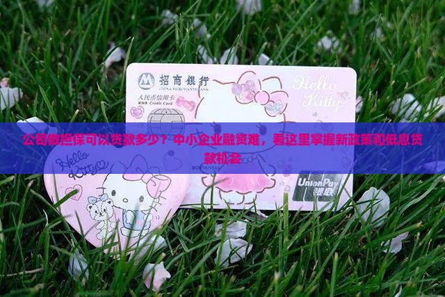 公司做担保可以贷款多少