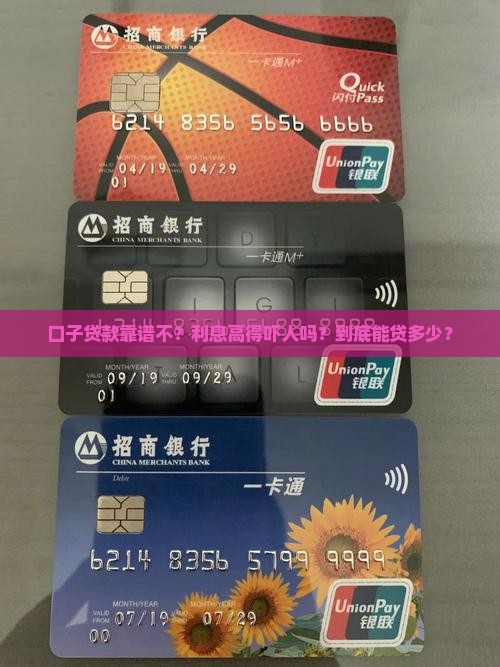 口子贷款可靠吗利息高吗多少钱