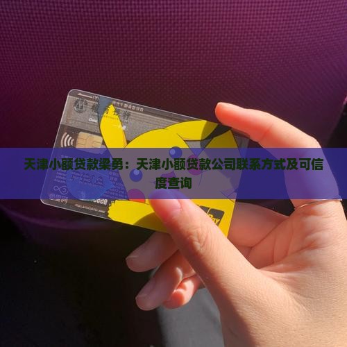 天津小额贷款梁勇