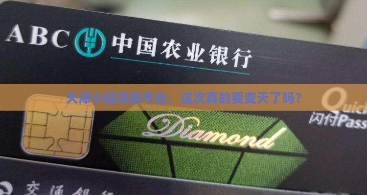 天津小额贷款平台整顿