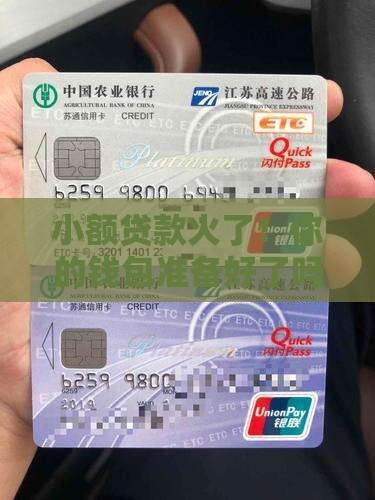 小额贷款业务的兴起