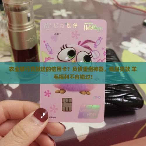 农业银行贷款送的信用卡