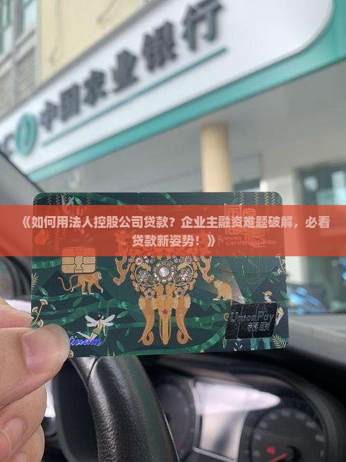 如何用法人控股公司贷款