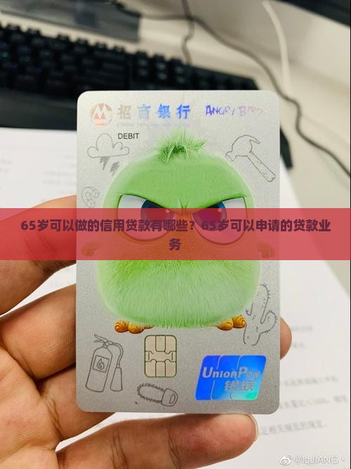 65岁可以做的信用贷款