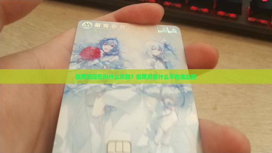 信用贷现在叫什么贷款