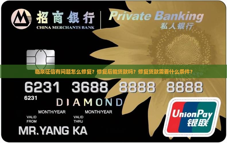 临泉征信修复贷款