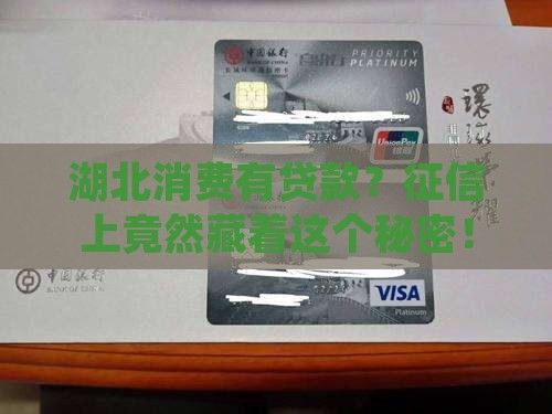 征信上湖北消费有贷款