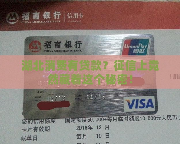 征信上湖北消费有贷款